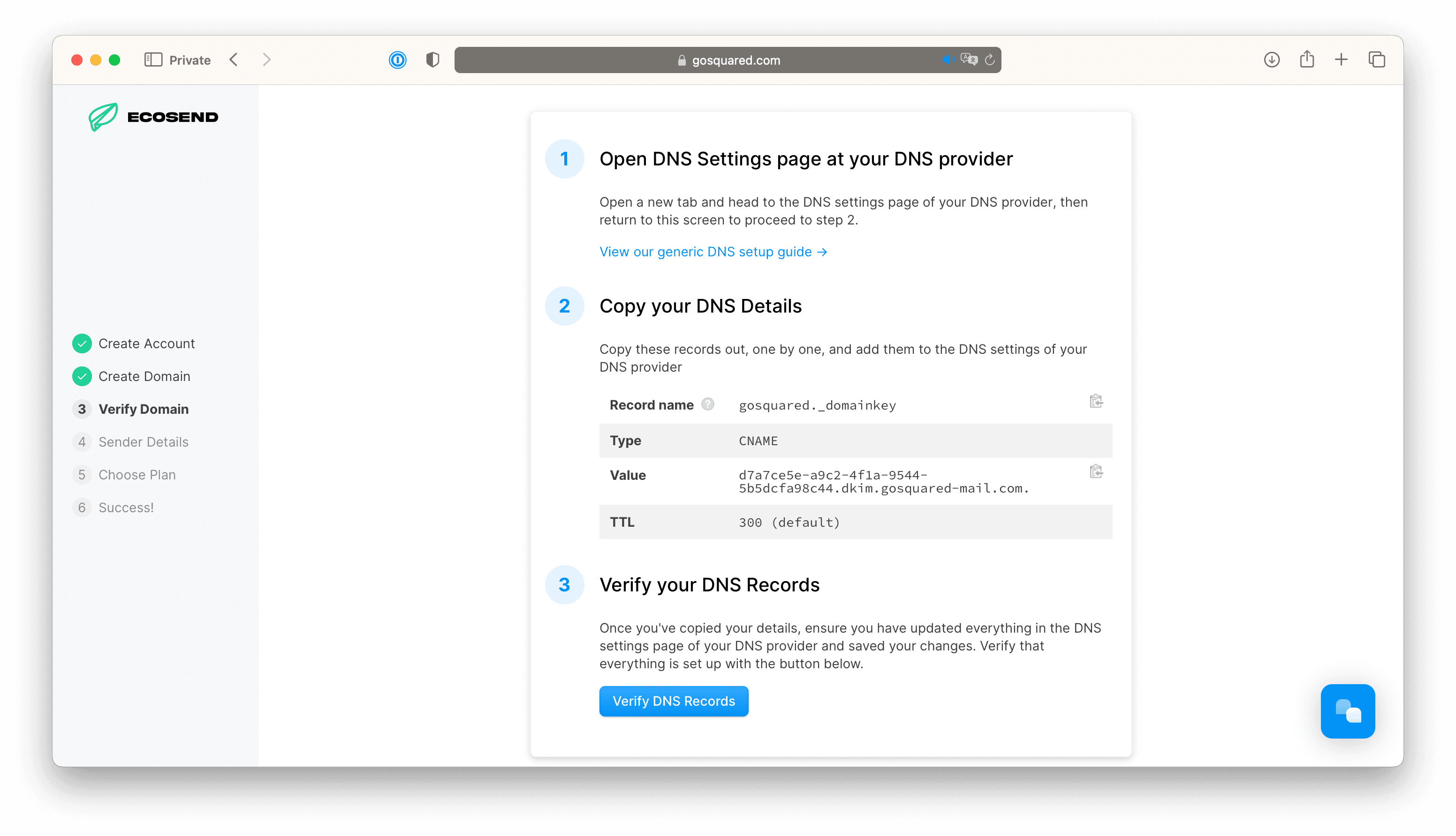 Another screenshot of the Verify your Domain process in EcoSend