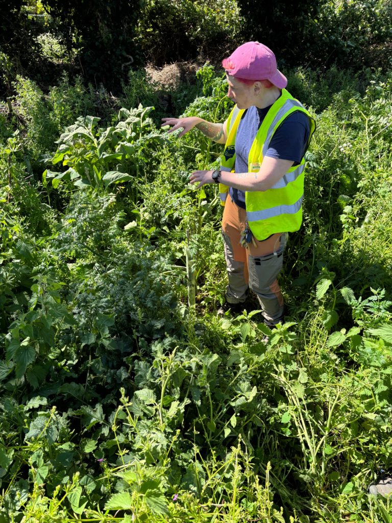 Our guide Izzy informing us how to remove the pesky weeds