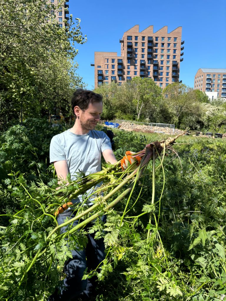 JT carries dead weeds